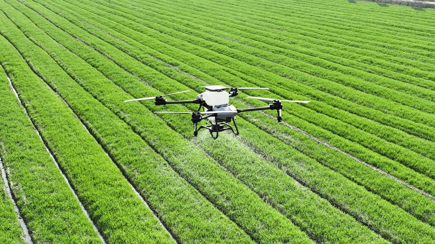 A drone spraying a crop field